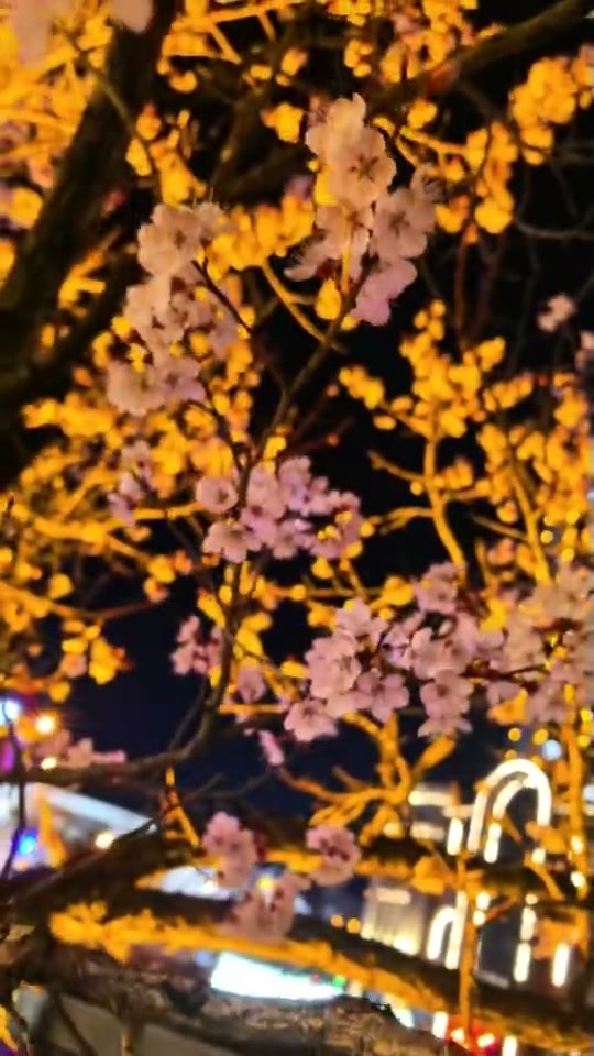 凌序影像 · 32